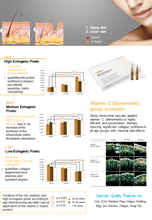 Load image into Gallery viewer, Benemedio 301 (Vitamin C Serum)